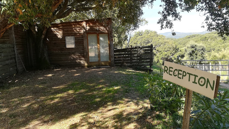 Camping I Suvari
