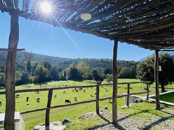 Camping à la ferme Père&Fils (Adults only)