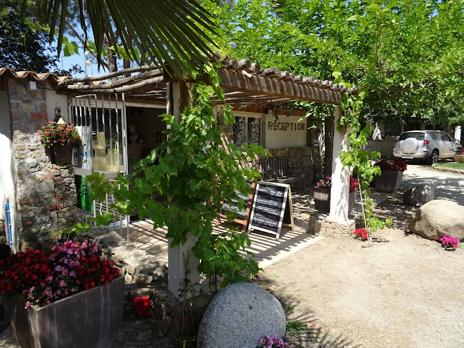 Camping Via Romana