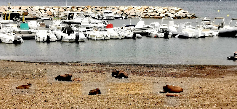 Idéal Camping