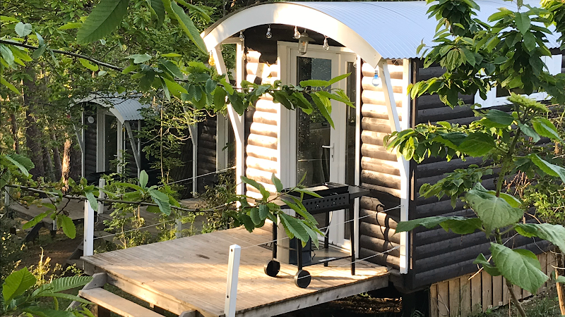 Camping Bavella Vista **