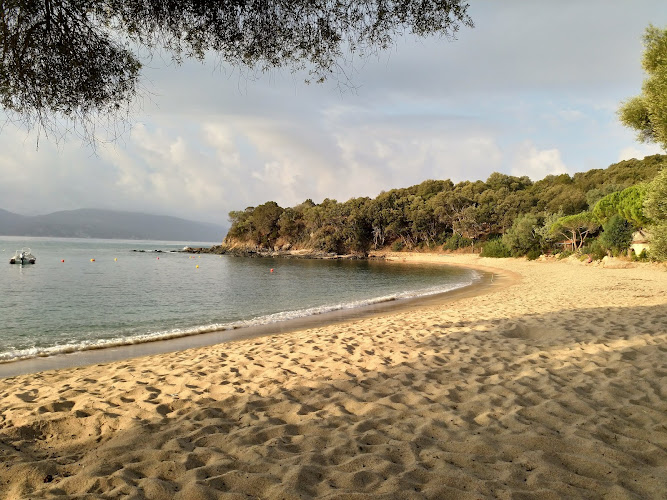Camping Aglio